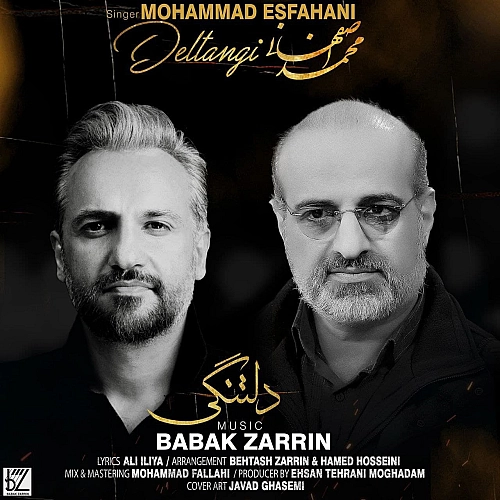 آهنگ جدید محمد اصفهانی به نام دلتنگی